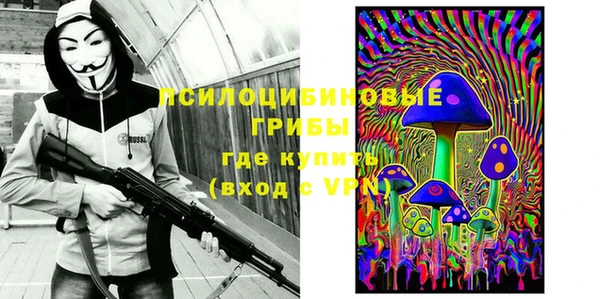 ешки Алексеевка