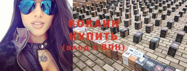 кокс Алексин