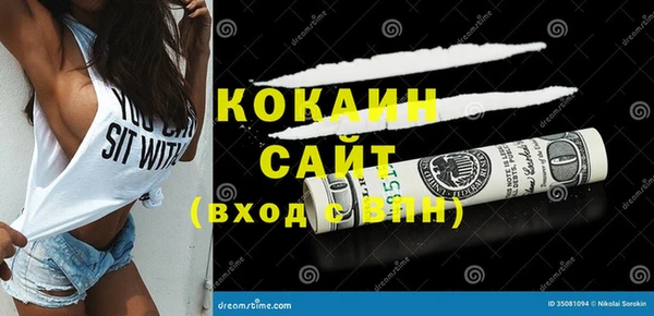 кокс Алексин