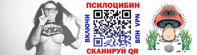 Псилоцибиновые грибы Psilocybe  Шебекино 